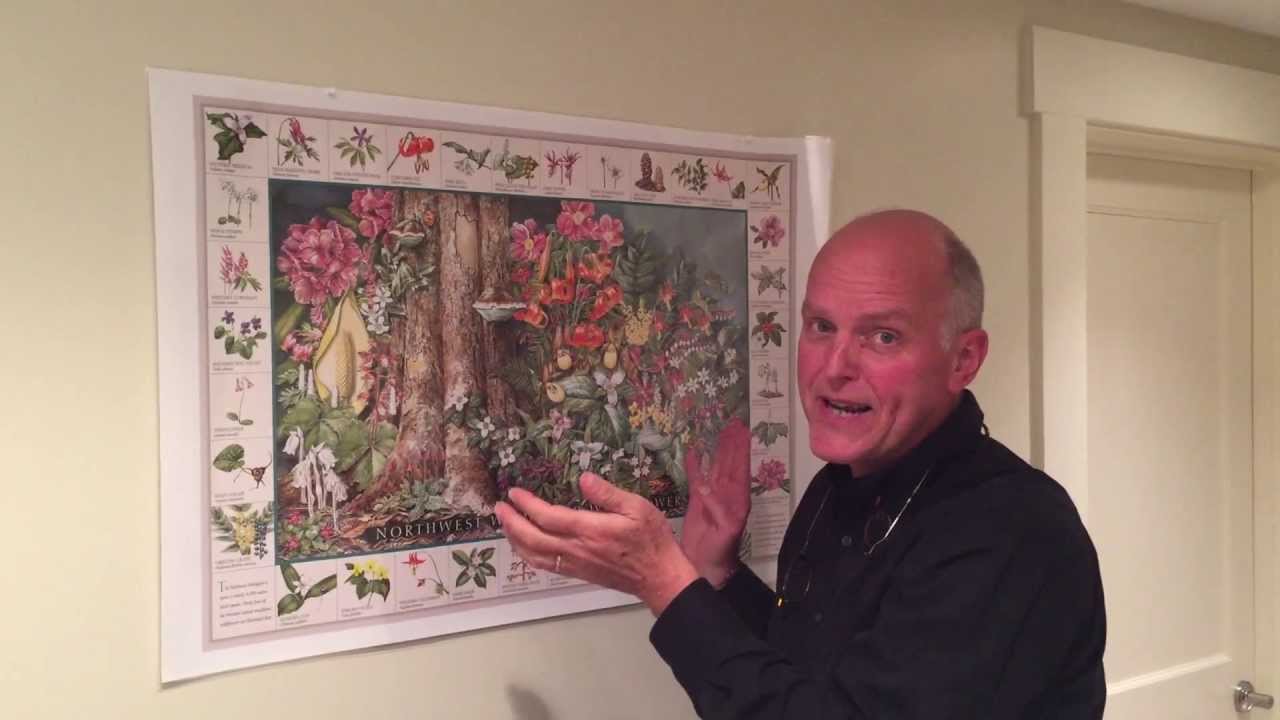 Learn to identify 34 Northwest Native Wildflowers