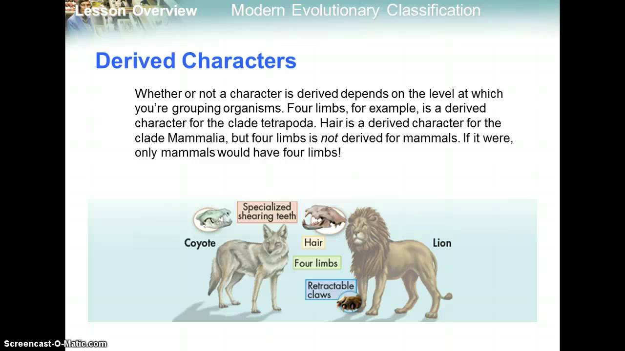 18.2 Modern Evolutionary Classification and Cladograms - YouTube