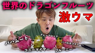 ドラゴンフルーツ充実株（挿し木）ダークスター3本、コニーマイヤー1本 mqdefault.jpg