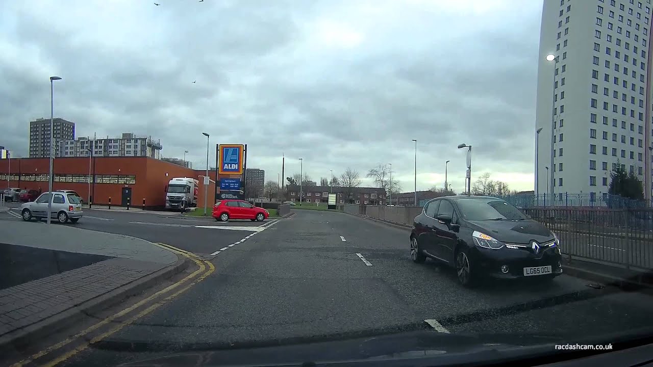 silly cow driving wrong way on road - YouTube