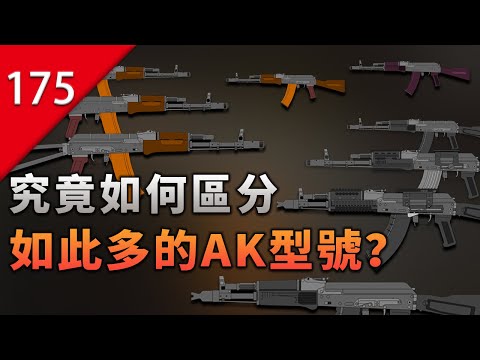 【不止遊戲】究竟如何區分如此多的AK型號？