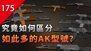 【不止遊戲】究竟如何區分如此多的AK型號？