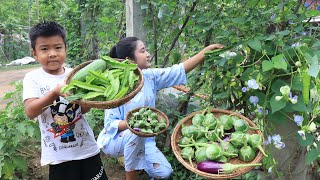 Fresh vegetable around home we can make a wonderful meal for family / Family food cooking