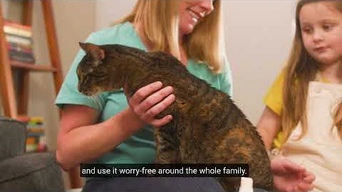 Flea & Tick Spray for Cats, Dogs, + Home with Natural Essential Oils