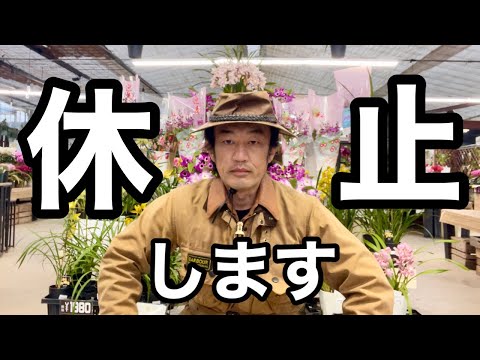 カーメン君ガーデンチャンネルファンの皆様へ