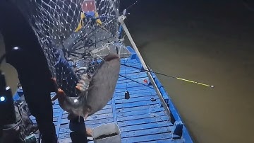 Tập 10 ( trải nghiệm câu cá đầu nguồn sông tiền và cái kết.........toàn 67 vlog