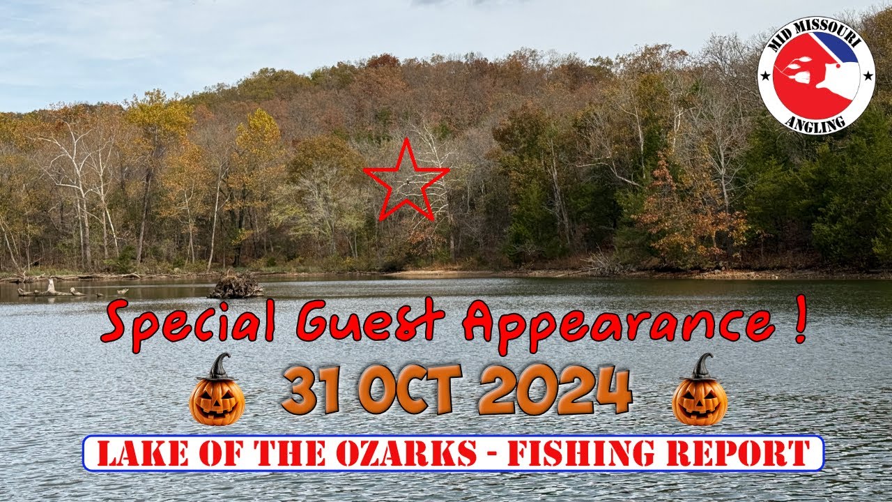 Lake of the Ozarks Bass Fishing – 31 Oct 2024 | Fishing report