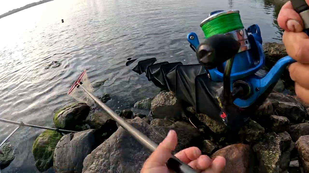 GRABIS copē,  Copes  atskaite No1 - Pilsētas fīderis