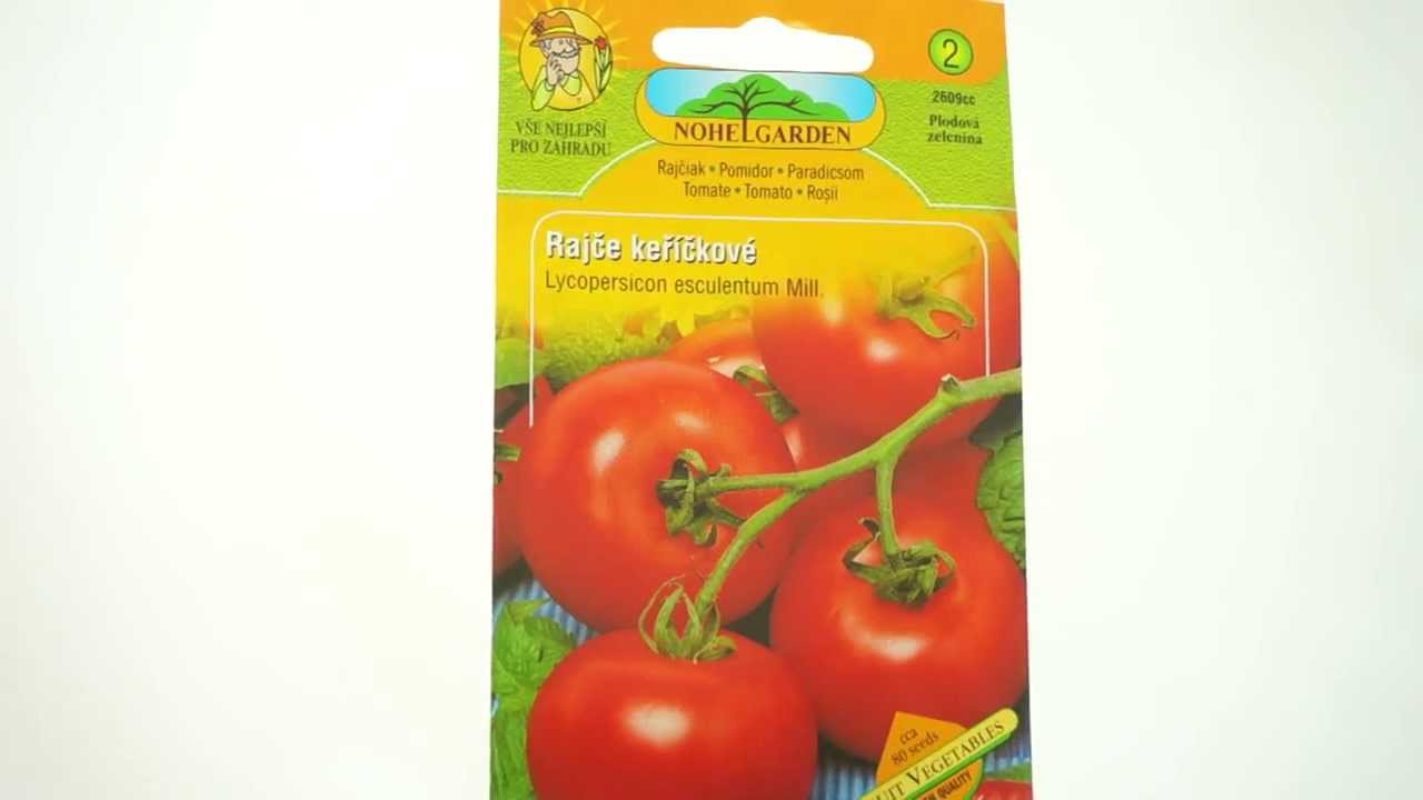 Rajče keříčkové Fruit vegetables
