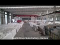 Quartz stone slabs factory  horizon