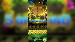 5 scatter in jungle delight new joy rummy game me #5scatter#yonogamastoday#jungledelight  screenshot 5