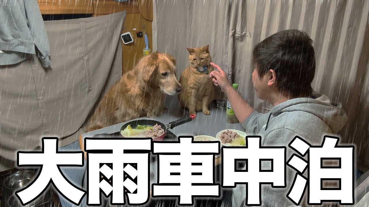 【山口旅】予想外の大雨でも一緒にお鍋を食べれる家族がいるっていいよね【車中泊】
