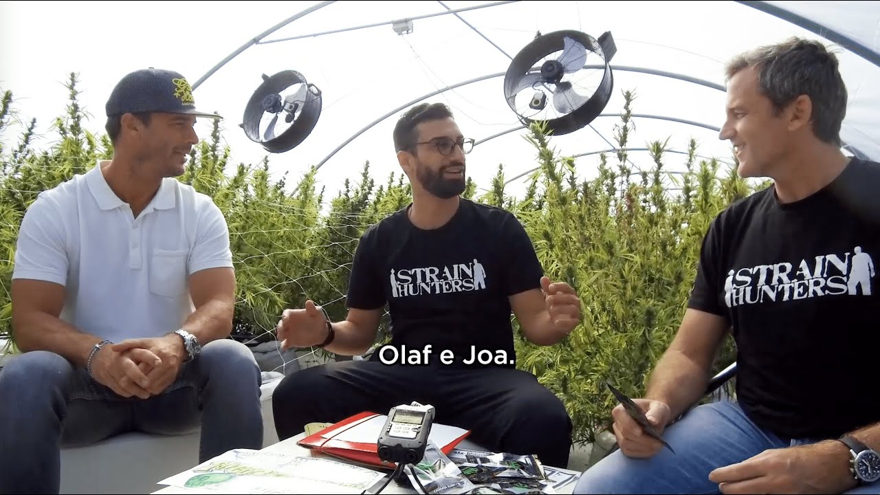 Cannabis Legends: The Story of Green House, Arjan Roskam, JOA & Franco Loja | An Exclusive Interview