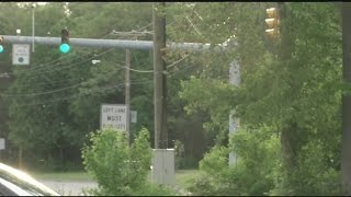High Pollen Alert this Saturday