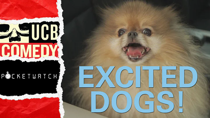 Dogs So Excited at the Holidays They Explode! | by...