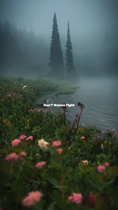 YAD (Яд) English Version (Lyrics) //Don't wanna fight// yad English version speed up lyrics #yad