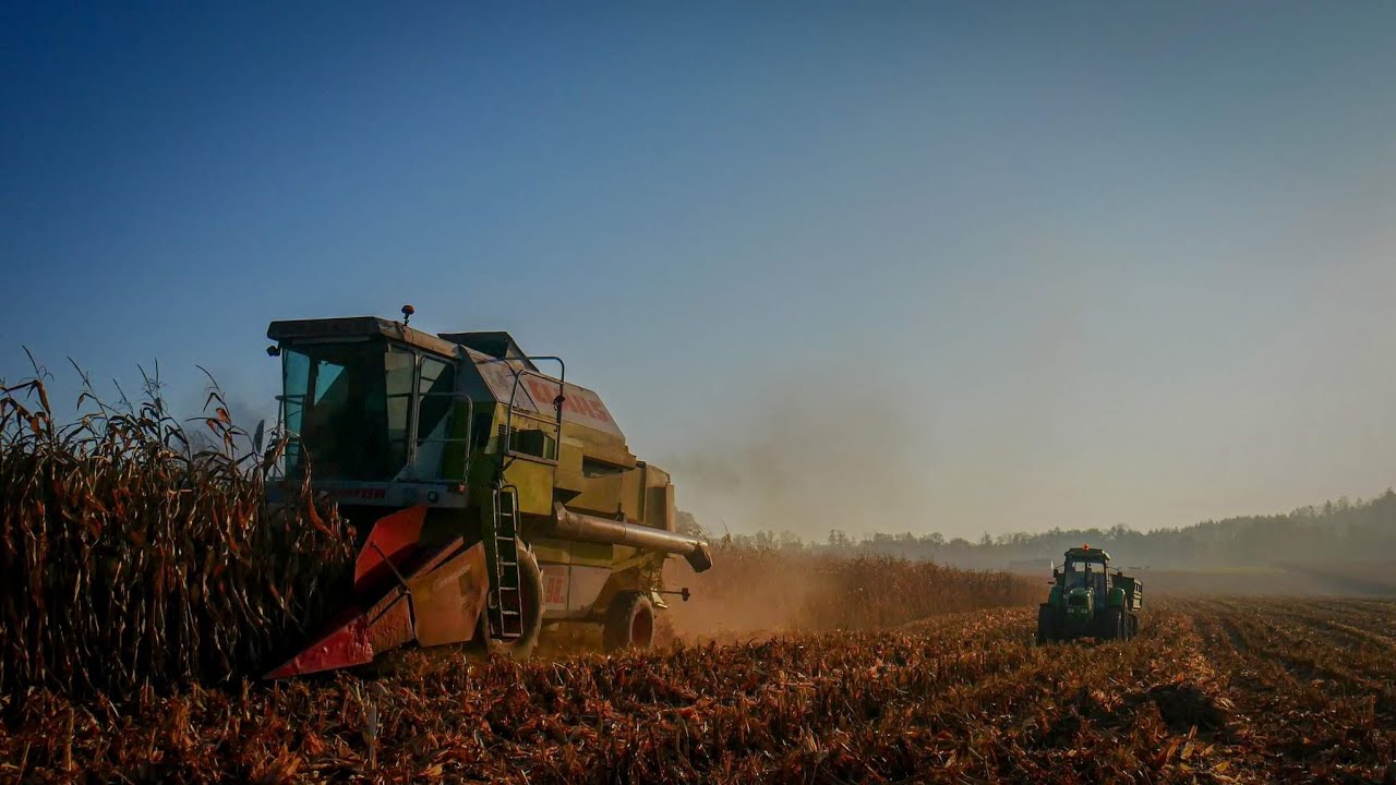 Jesień 2022 w RSP Ogrodzona