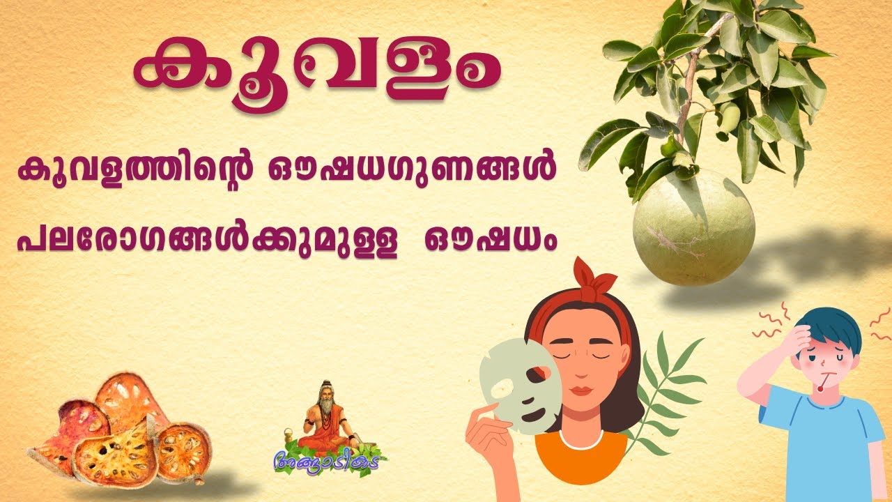കൂവളത്തിന്റെ ആരോഗ്യഗുണങ്ങൾ | koovalam | aushadha sasyangal | angaadikada