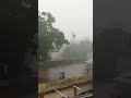 Denguresh Rain