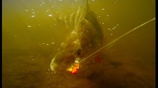 How to Catch Perch and Crappie on a Float and Fly