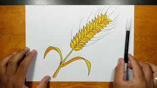How to draw and coloring WHEAT step by step