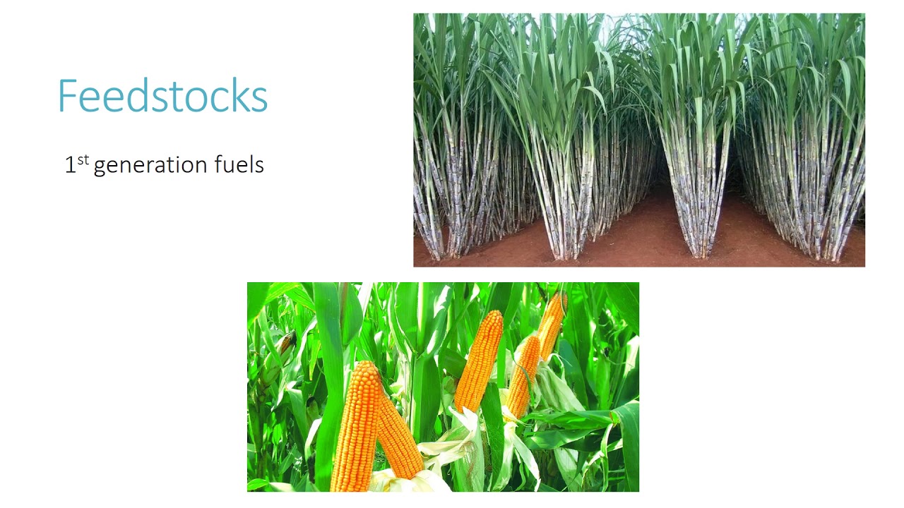 Bioethanol from Yeast process