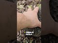 En la naturaleza, nada se pierde. Todo se transforma.