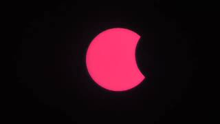 Solar Eclipse Novosibirsk. Солнечное затмение Новосибирск. 25.10.2022