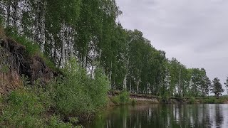 видео: Сейм Десна 21 1 картинка: Сейм Десна 21 1