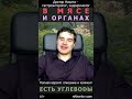 Диета — безуглеводная… А говяжья печень — сладкая.