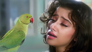 Tota Tota Sajan Se Kehna 4K Video Song | First Love Letter | Lata Mangeshkar | Manisha Koirala