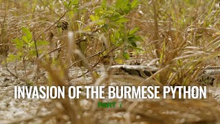 Celebrity BEHIND THE SCENES: Invasion of The Burmese Python, Part 1 Profile