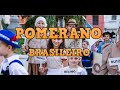 Língua Pomerana no Brasil - História e Gramática da Língua Pomerana Capixaba