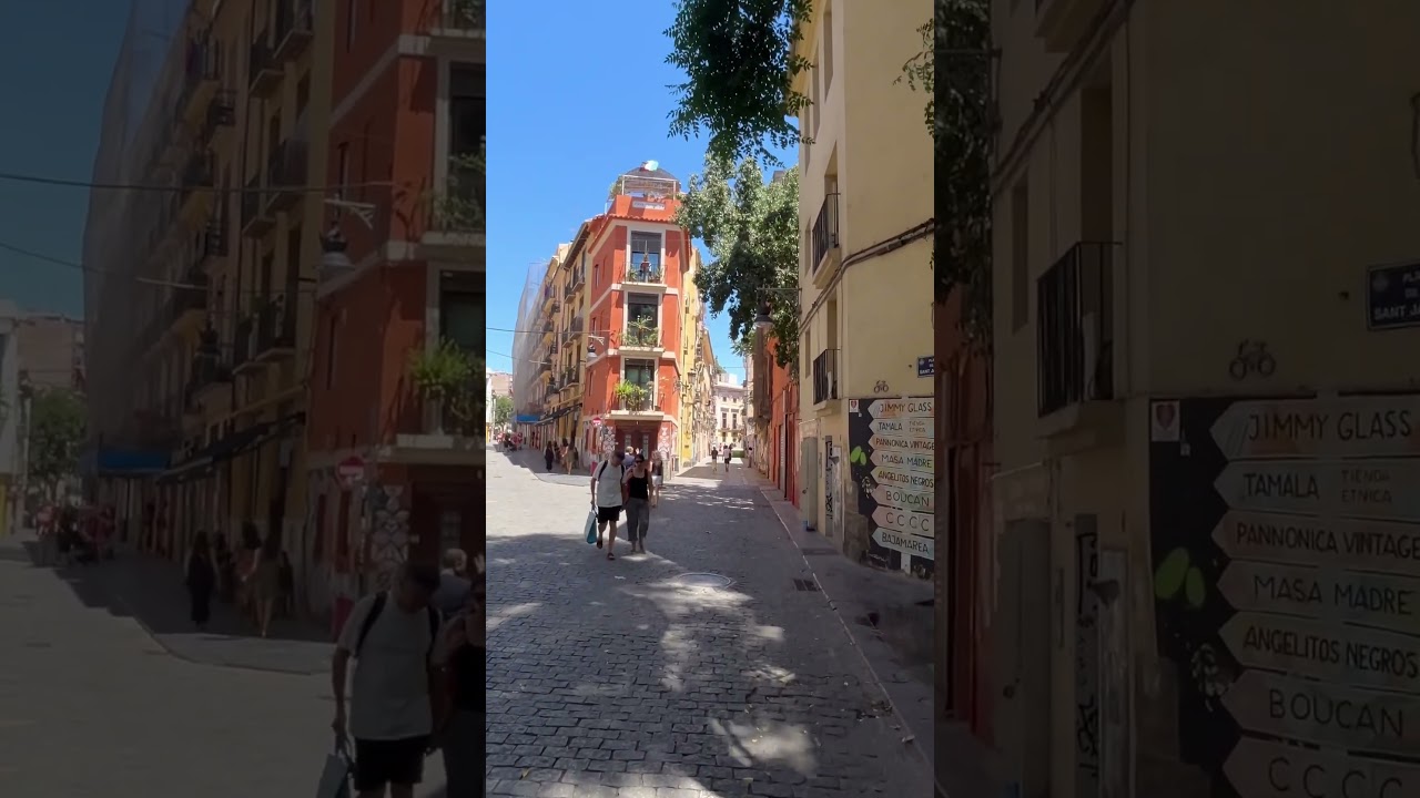 Discovering Street Art on The Streets of Valencia Experience 