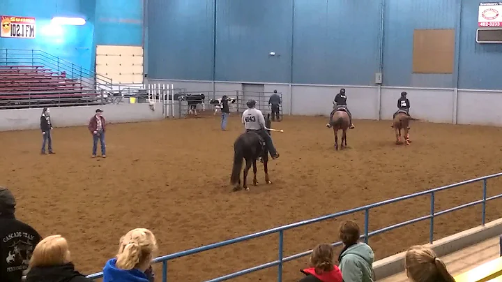 Jesse Carr sets District Record in Steer Daubing