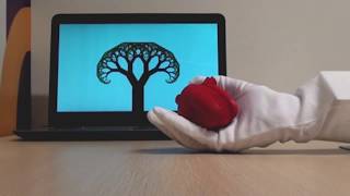 HCI Final Project – Shani Margulis & Boris Muratov