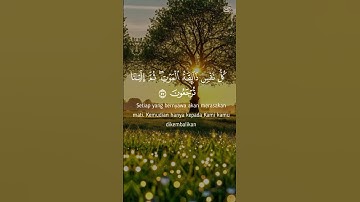 القران الكريم راحه نفسيه ❤️ #اكسبلور #المراه #haveitoldyoulatelythatiloveyou #راحة_نفسية