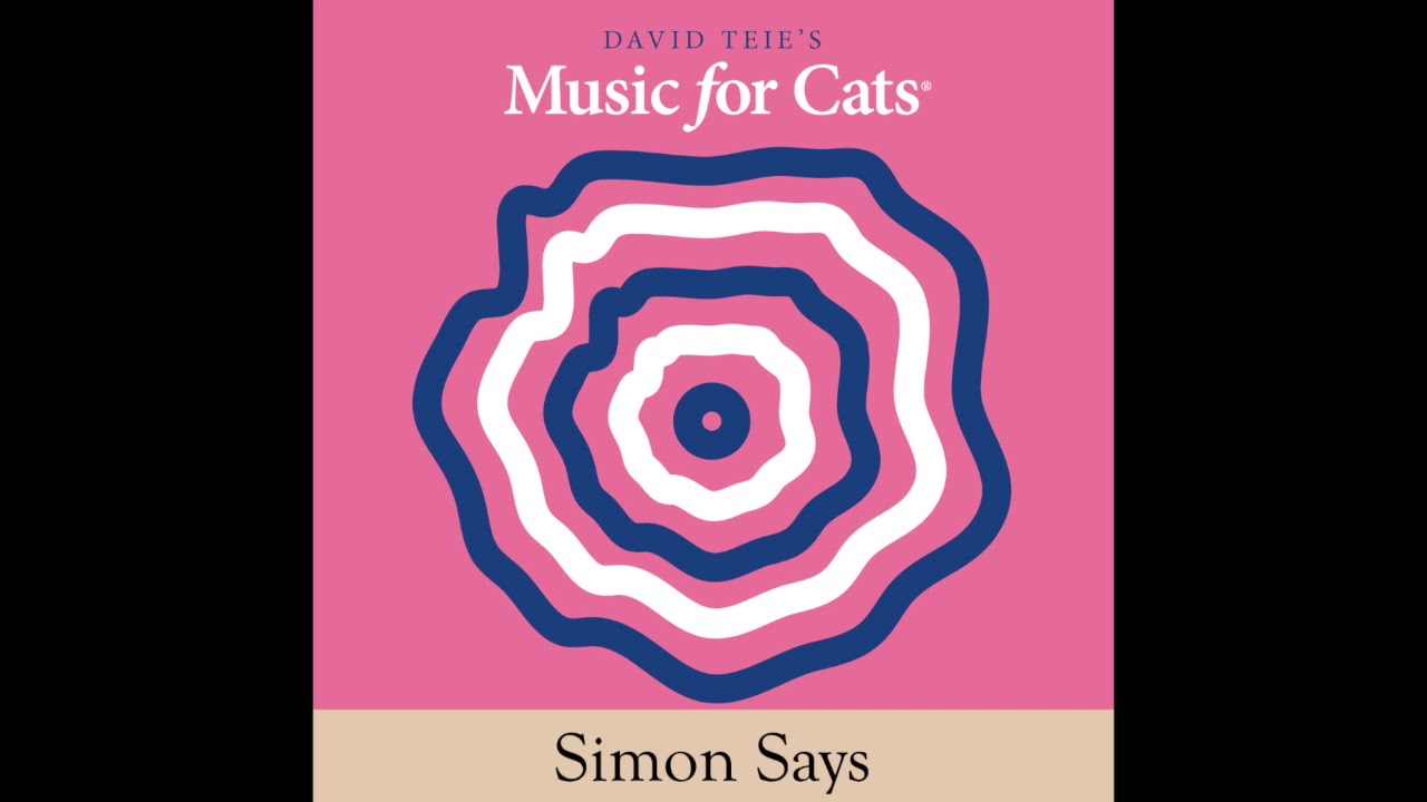 Simon says music