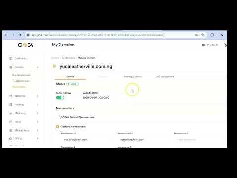 How to Update Domain Nameservers via Go54 Dashboard