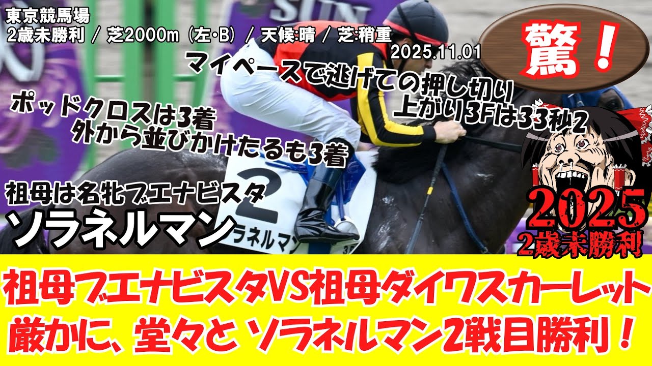 三歳未勝利様確認用 競馬】 驚き！ 2歳未勝利 (2025.11.01・東京3R) 2025 / ソラネルマン