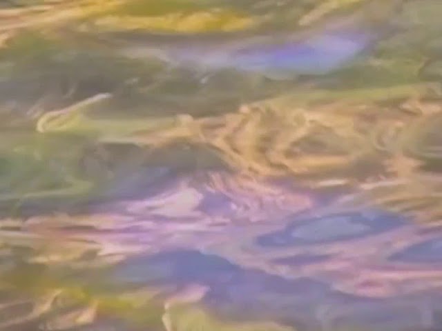 Watch 29 Palms by Dallas Acid on YouTube Watch 29 Palms by Dallas Acid on YouTube