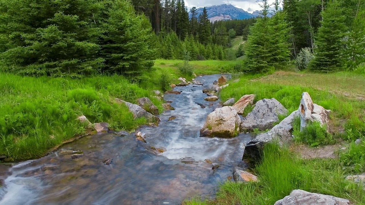 No Copyright Videos | River | Copyright Free | Motion Graphics | Motion Background |Free Video Stock