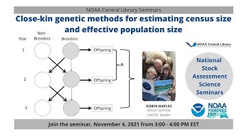 Close kin genetic methods for estimating census size and effective population size