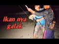 handel nya sampai patah 😃 - mancing pinggiran laut (umpan istimewa)