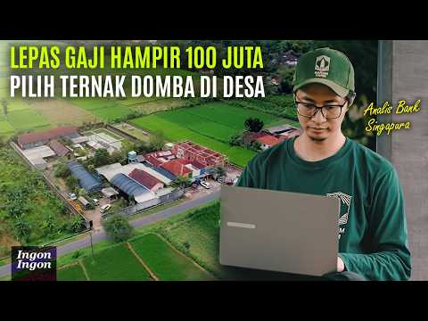 Resign Dari Analis Bank di Singapura Jadi Peternak Domba Di Desa Seperti Game Harvest Moon