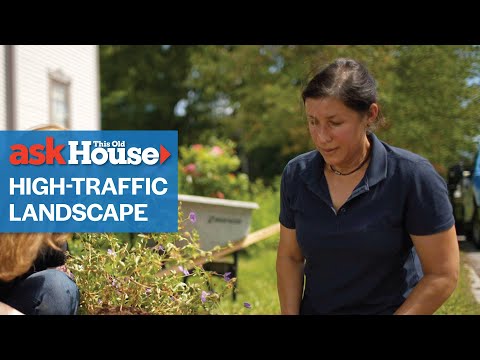 How to Design a High Traffic Landscape | Ask This Old House