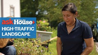 How to Design a High Traffic Landscape | Ask This Old House