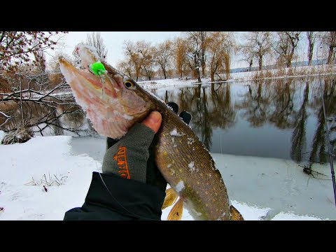Попал на раздачу щуки на ЗИМНИЙ СПИННИНГ! Зимняя рыбалка по открытой воде!