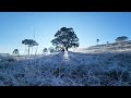 Ola de frío en Brasil | Nevadas y temperaturas bajo cero sorprenden en el país suramericano