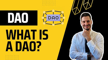 What is a DAO and how does it make money?